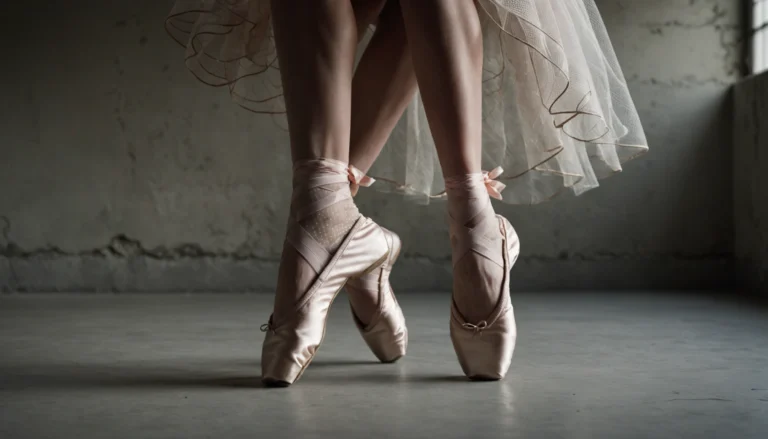 ballerine en resille